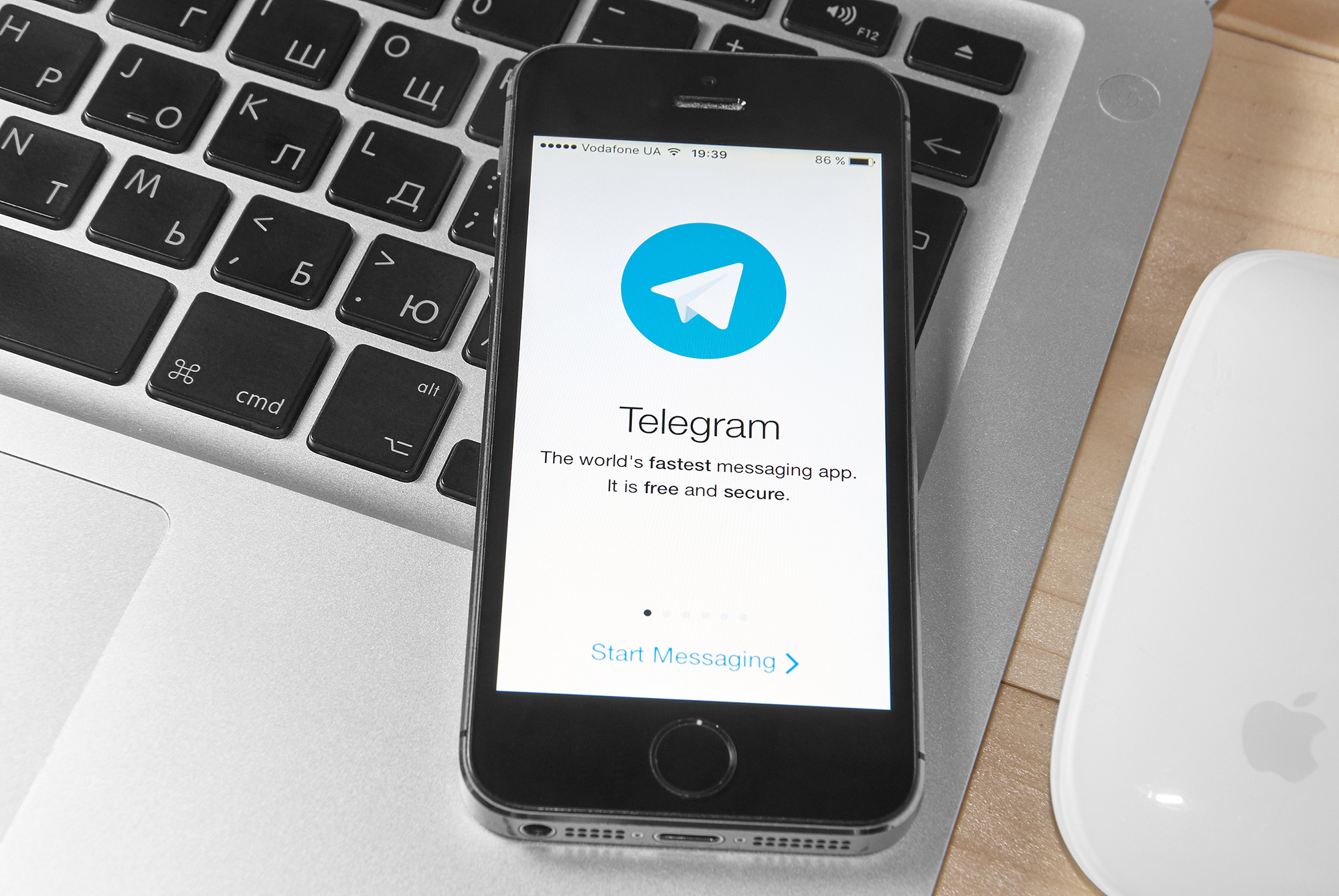 Telegram Bot